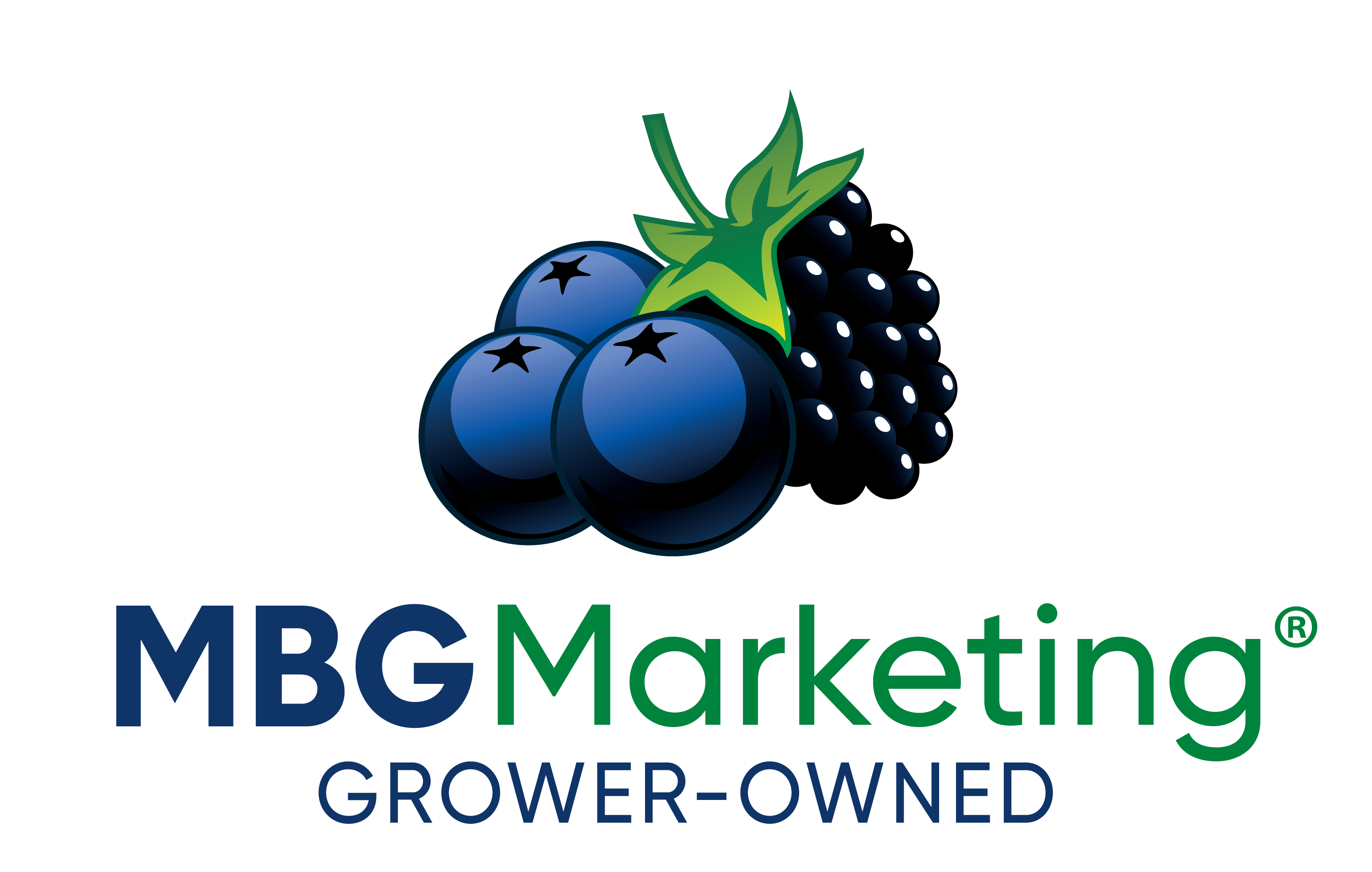 MBG Marketing Logo